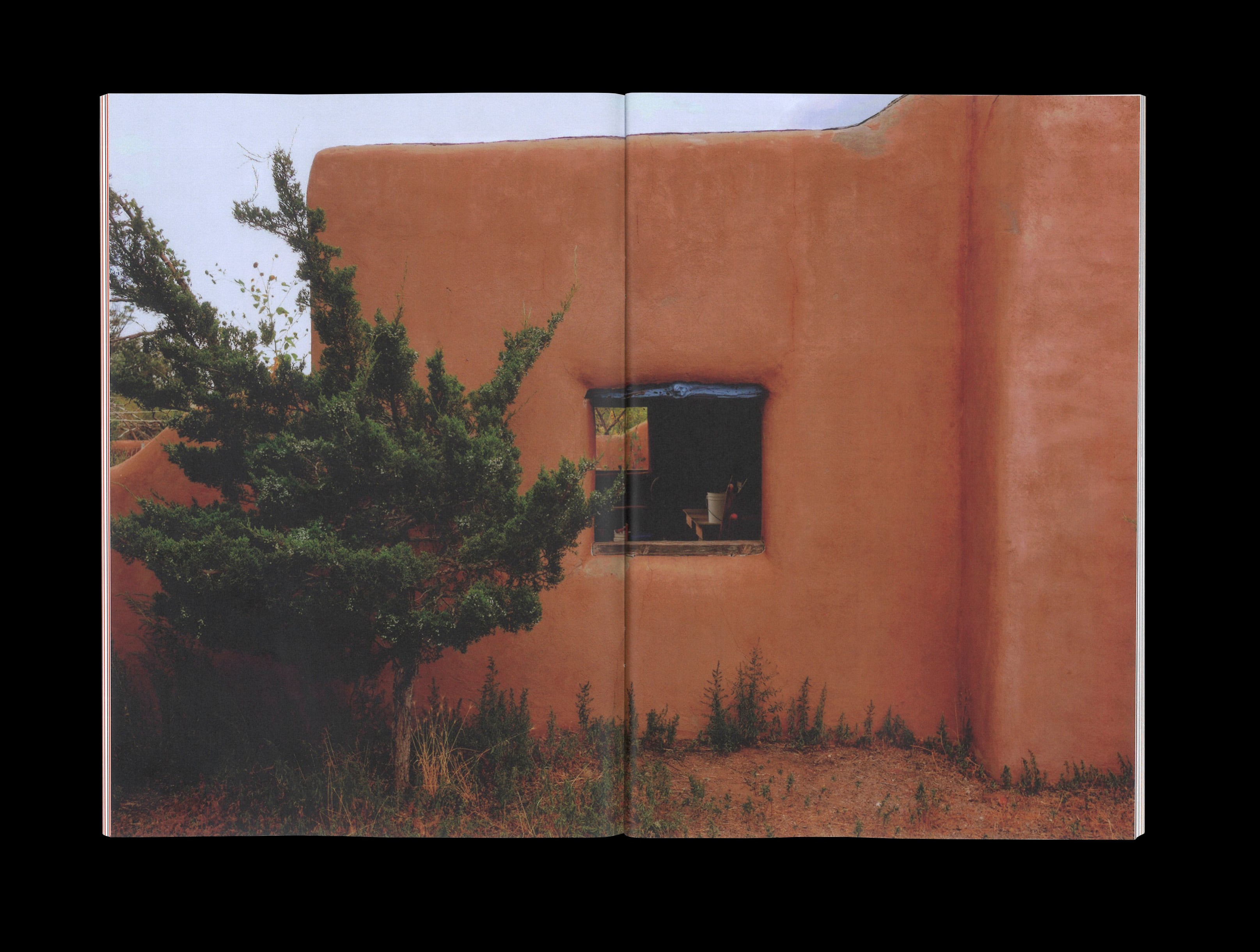 image from The Last Straw